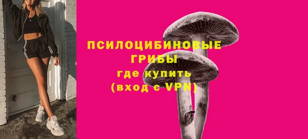 спиды Заводоуковск